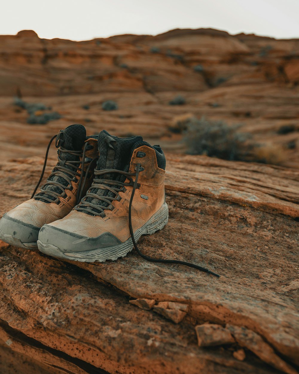 Chaussures Rando Mi-hautes